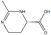 邻苯二甲酸酐保护氨基的原理